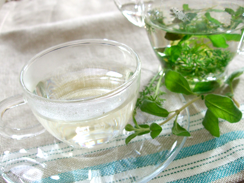 フレッシュハーブティー