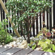 アジアンモダンのお庭