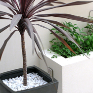 アジアンモダンのお庭