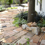 コートダジュールのお庭