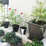 フレンチモダンのお庭