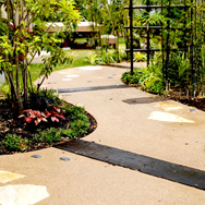 ジャパネスクのお庭