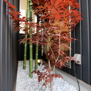 ジャパネスクのお庭