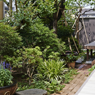 ジャパネスクのお庭