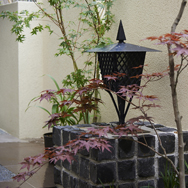 ジャパネスクのお庭