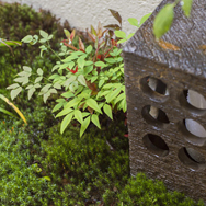 ジャパネスクのお庭