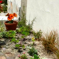 ラスティックモダンのお庭