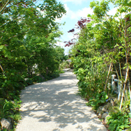 サトヤマのお庭