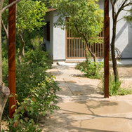 サトヤマのお庭