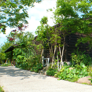 サトヤマのお庭