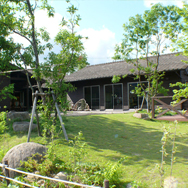 サトヤマのお庭