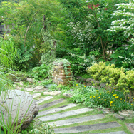 サトヤマのお庭