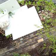 サトヤマのお庭