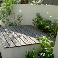 サトヤマのお庭