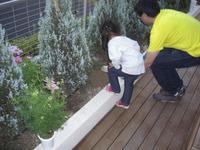 CIMG7070.jpgのサムネール画像