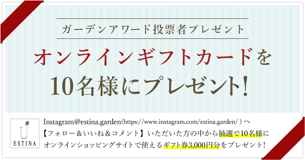 Instagram @estina.garden(https://www.instagram.com/estina.garden/ ) へ【フォロー＆いいね＆コメント】いただいた方の中から抽選で10名様にオンラインショッピングサイトで使えるギフト券3,000円分をプレゼント！
