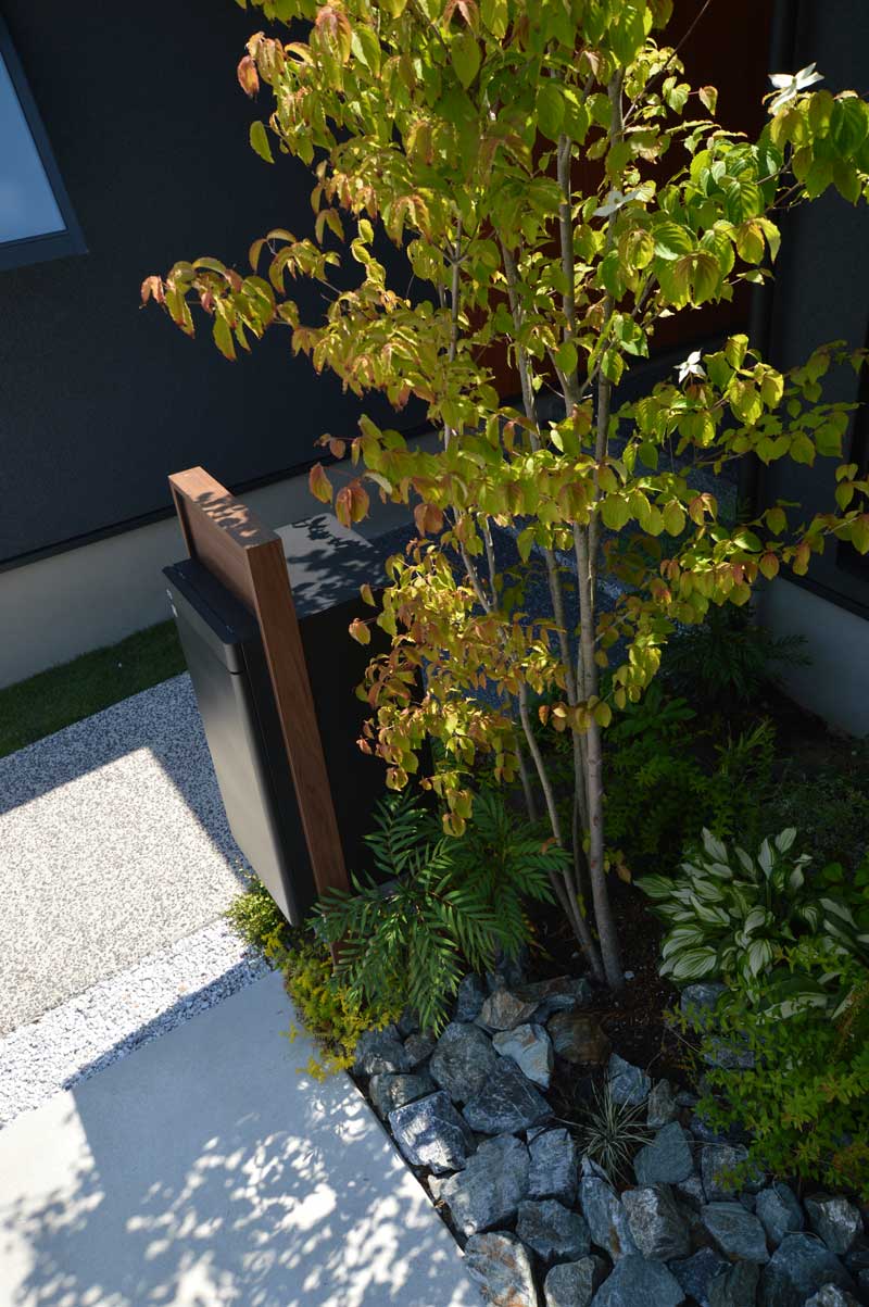 木漏れ日を感じる住宅