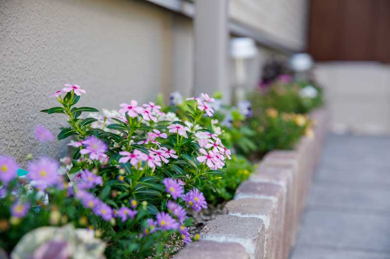 風合いを楽しむ庭