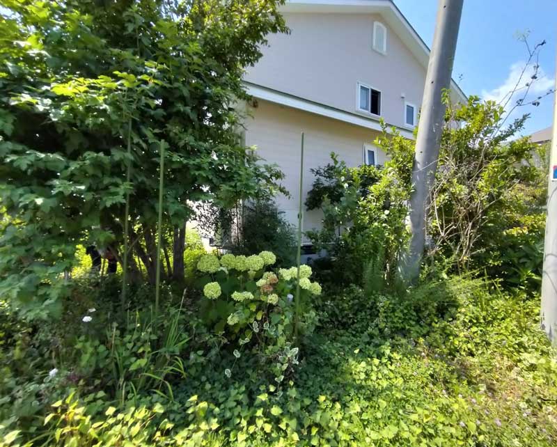 バラのアーチまでのアプローチ