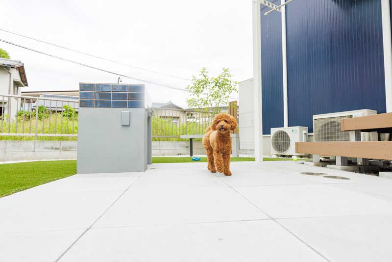 ぼくの庭　～FUN！FUN！GARDEN～