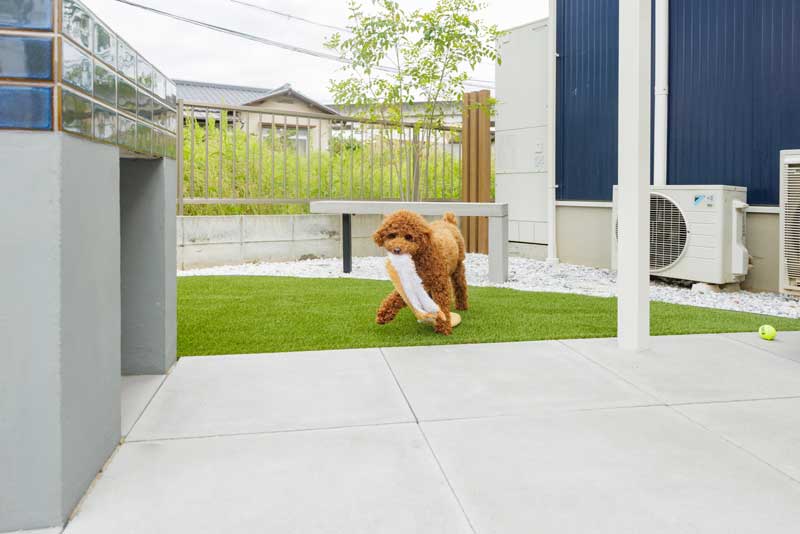 ぼくの庭　～FUN！FUN！GARDEN～