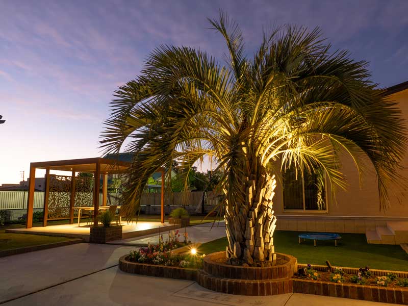 エグゼクティブなお庭の空間