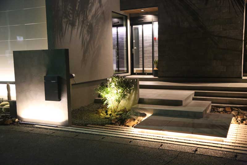 光と陰が織りなす、静寂と躍動のドライガーデン