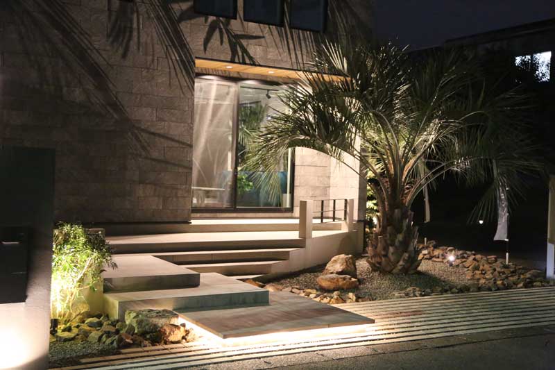 光と陰が織りなす、静寂と躍動のドライガーデン