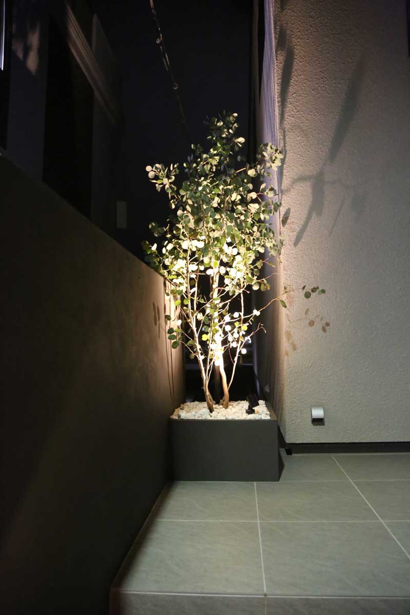 光と陰が織りなす、静寂と躍動のドライガーデン