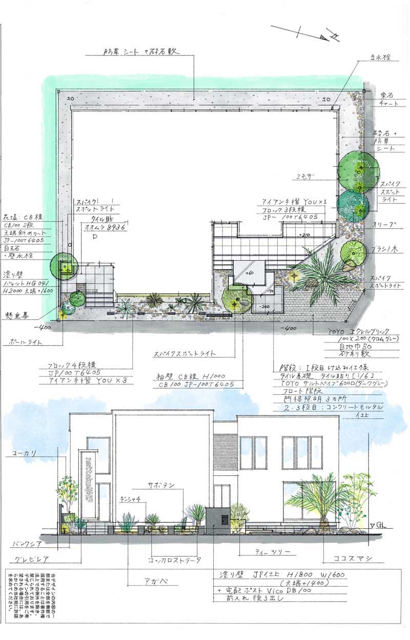 光と陰が織りなす、静寂と躍動のドライガーデン