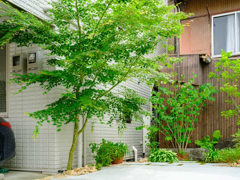 既存モミジを生かした、豊かな庭時間