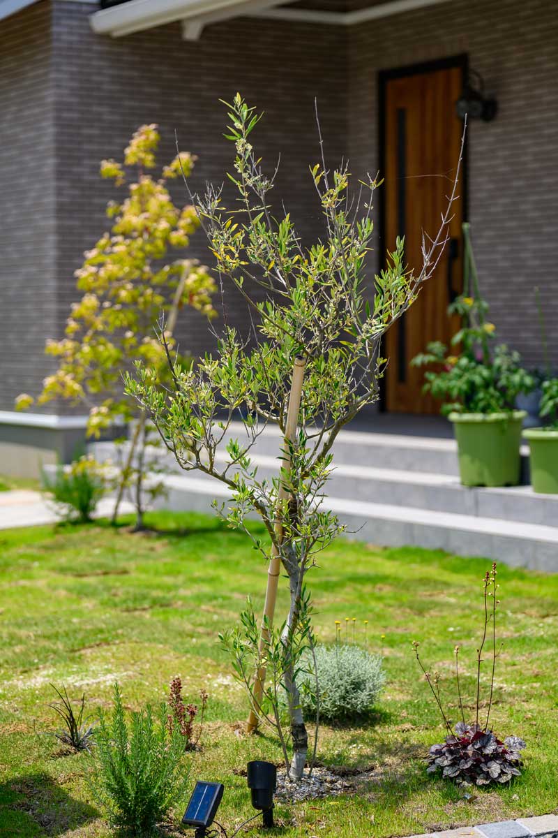 直線と曲線が調和する、心地よく暮らすお庭