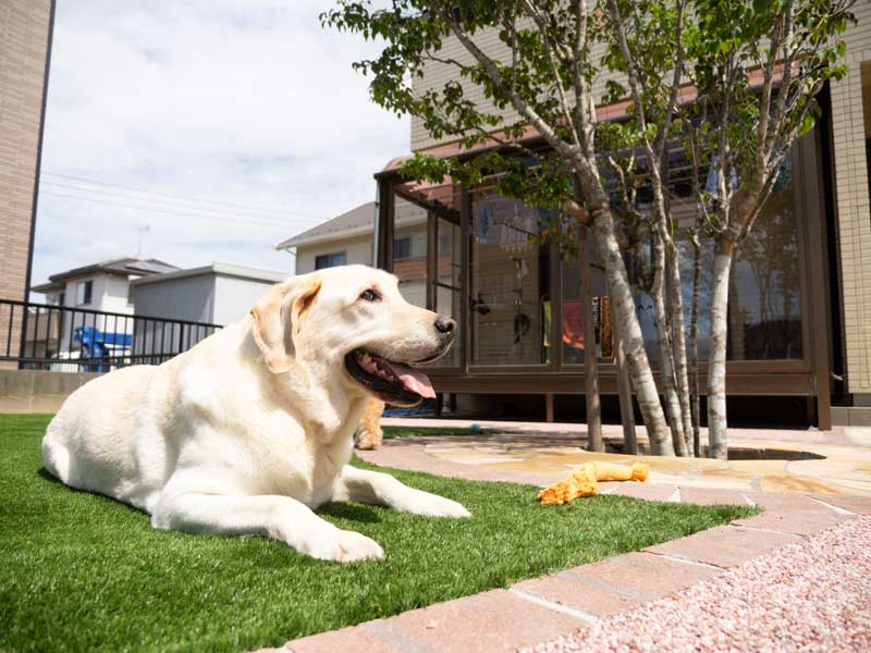 人工芝でワンちゃんも楽しめるお庭にリガーデン