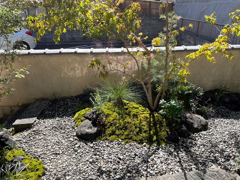 和の趣と静けさの庭