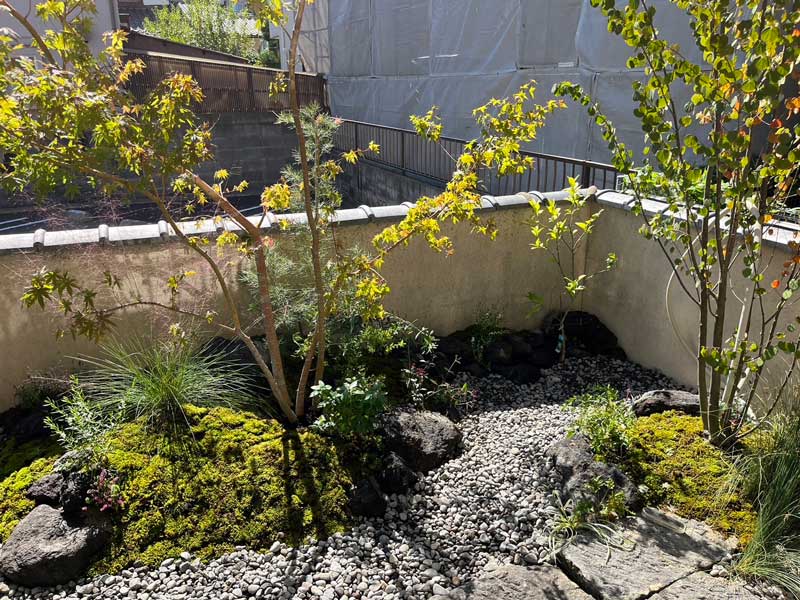 和の趣と静けさの庭