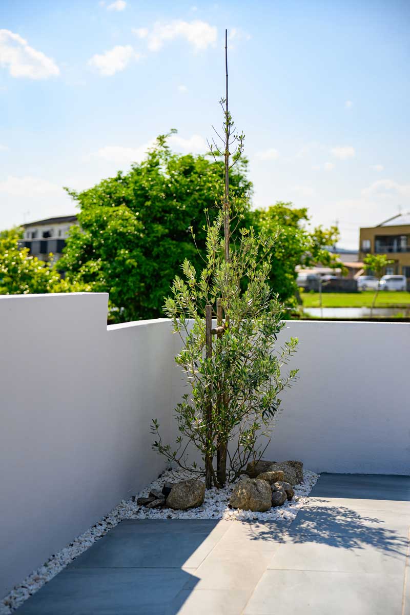 室内景観とアウトドア動線を楽しむ 多機能リガーデン