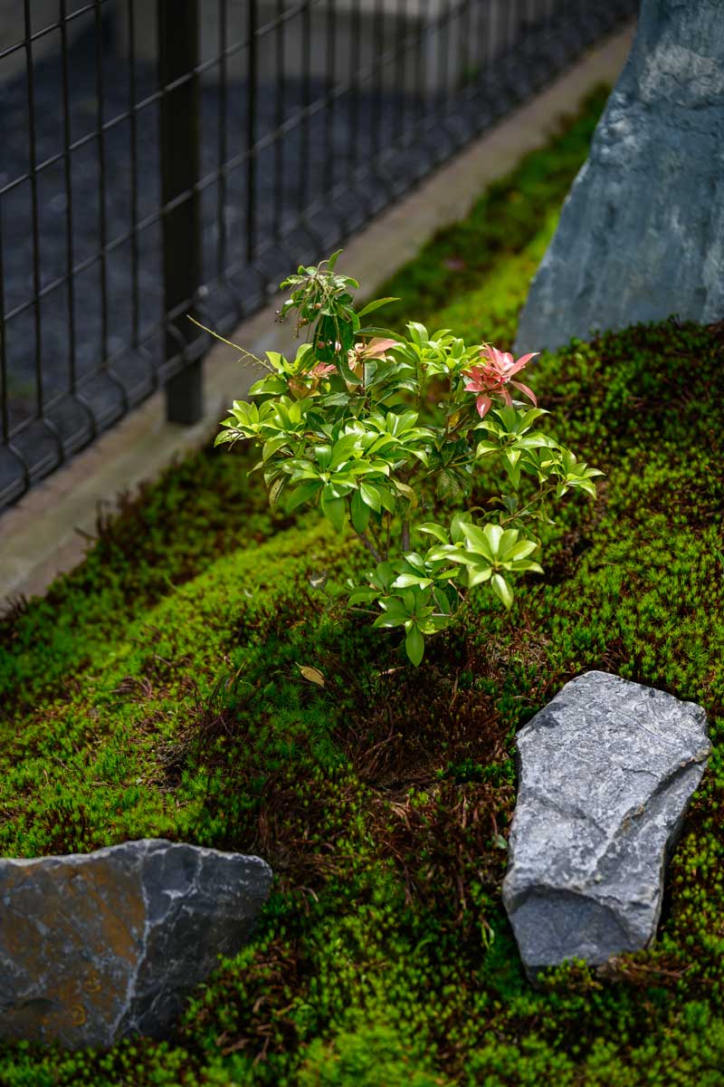 奥行きとやすらぎを感じる、ローメンテナンスの和庭デザイン