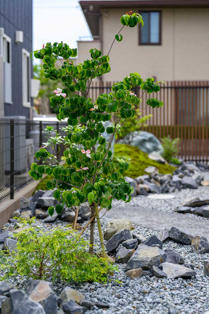 奥行きとやすらぎを感じる、ローメンテナンスの和庭デザイン