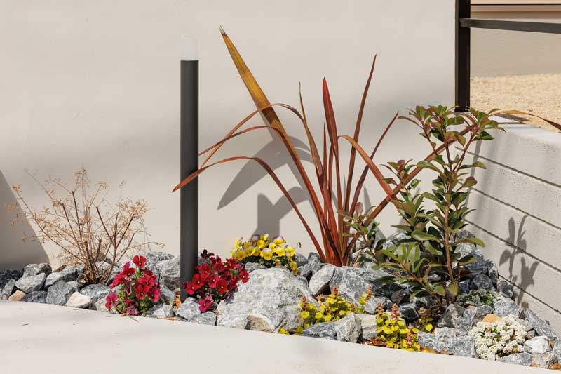 木目の美しい家