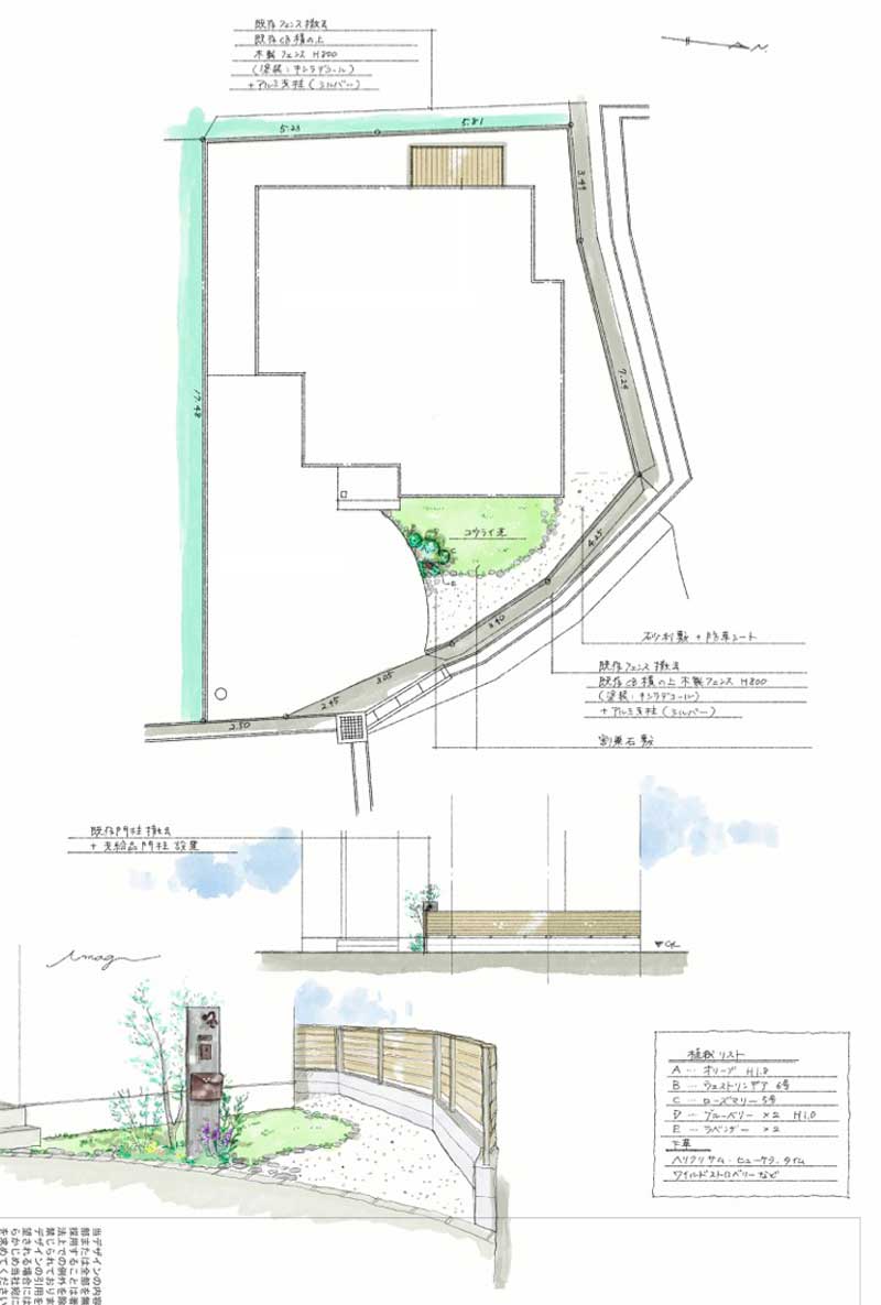 シルバーリーフが映える、外構リフォームとリガーデン施工事例