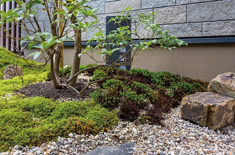 苔、天然石、植栽を配置した坪庭スペース。